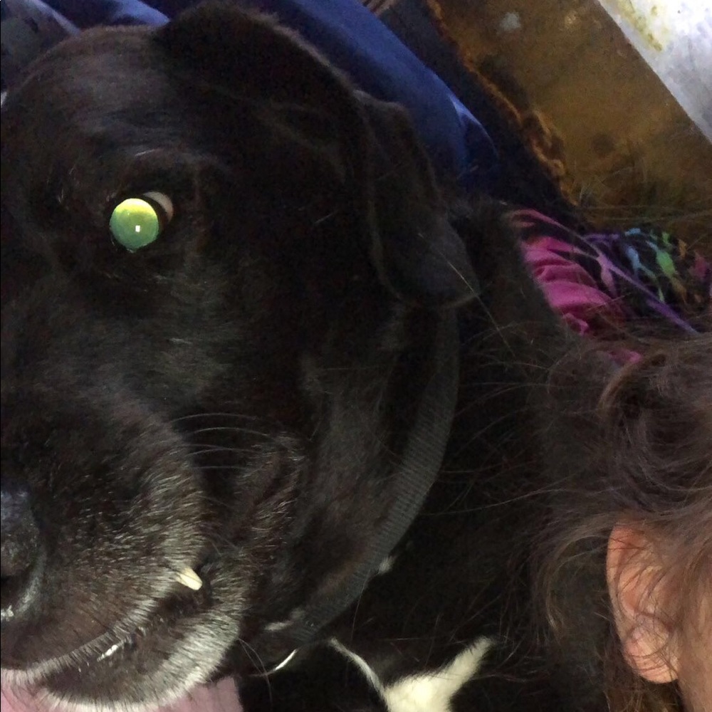 Meet your Posher, Haylee